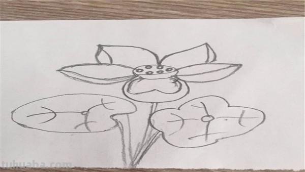 花怎么画简笔画图片（西兰花怎么画简笔画图片）