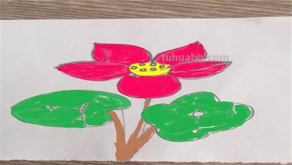 花怎么画简笔画图片（西兰花怎么画简笔画图片）