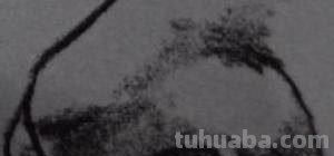速写人物五官画技巧法步骤（速写人物五官画技巧法步骤图）
