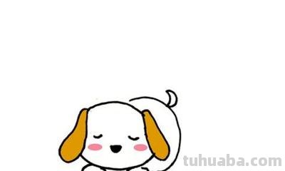 狗怎么画简笔画图片大全（狗怎么画简笔画图片大全图片）