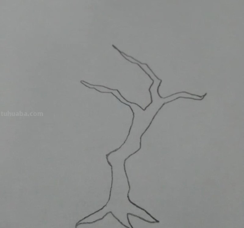 素描彩铅画柠檬怎么画(素描彩铅画柠檬怎么画好看) 素描彩铅画柠檬怎么画(素描彩铅画柠檬怎么画好看)