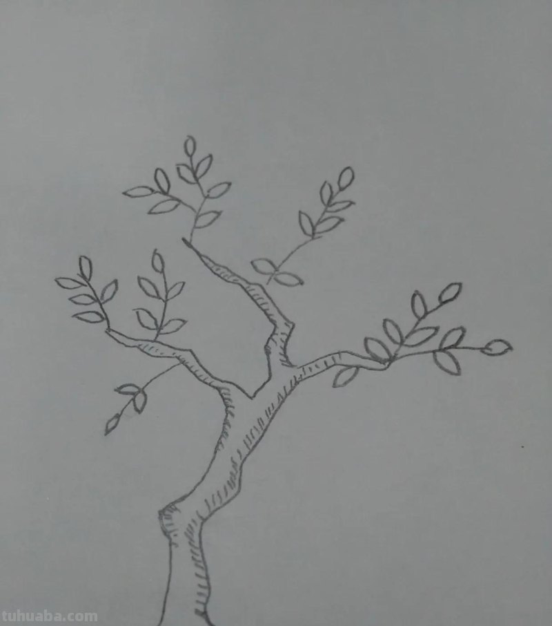 素描彩铅画柠檬怎么画(素描彩铅画柠檬怎么画好看) 素描彩铅画柠檬怎么画(素描彩铅画柠檬怎么画好看)