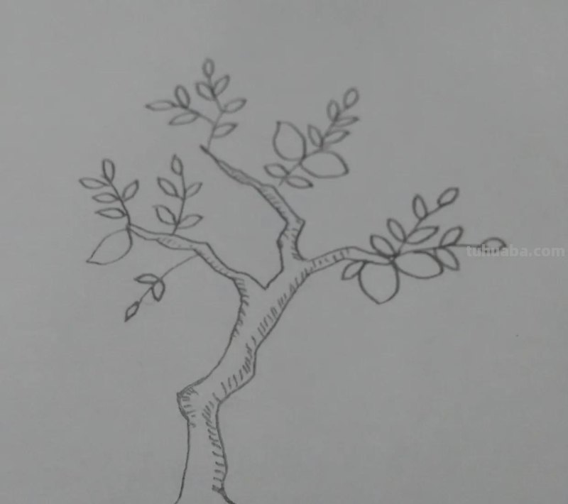 素描彩铅画柠檬怎么画(素描彩铅画柠檬怎么画好看) 素描彩铅画柠檬怎么画(素描彩铅画柠檬怎么画好看)