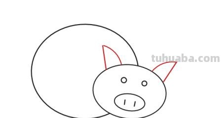怎么画小猪简笔画（怎么画小猪简笔画可爱图片）