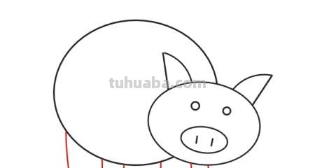 怎么画小猪简笔画（怎么画小猪简笔画可爱图片）