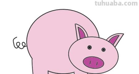 怎么画小猪简笔画（怎么画小猪简笔画可爱图片）