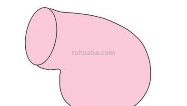 怎么画小猪简笔画（怎么画小猪简笔画可爱图片）