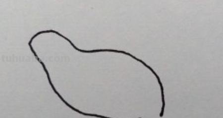 怎么画青蛙简笔画（）