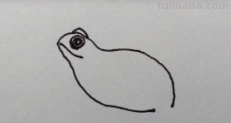 怎么画青蛙简笔画（）