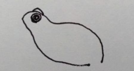 怎么画青蛙简笔画（）