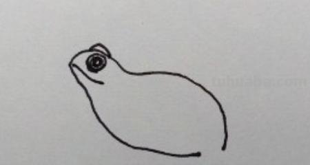 怎么画青蛙简笔画（）