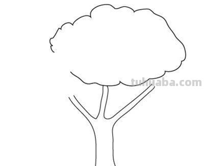 树怎么画简笔画图片（树怎么画简笔画图片大全大图）