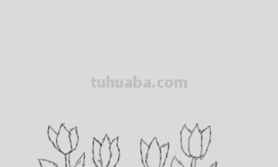 树怎么画简笔画图片（树怎么画简笔画图片大全大图）