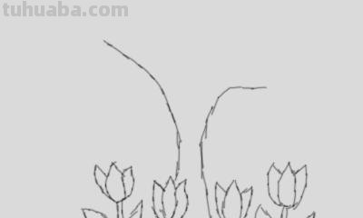 树怎么画简笔画图片（树怎么画简笔画图片大全大图）