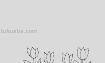 树怎么画简笔画图片（树怎么画简笔画图片大全大图）