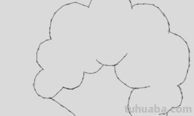 树怎么画简笔画图片（树怎么画简笔画图片大全大图）