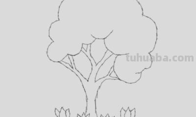 树怎么画简笔画图片（树怎么画简笔画图片大全大图）
