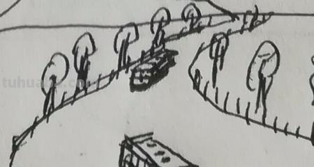 树怎么画简笔画图片（树怎么画简笔画图片大全大图）