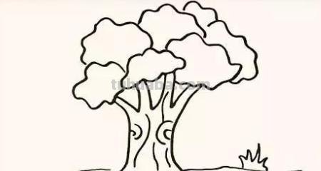 树怎么画简笔画图片（树怎么画简笔画图片大全大图）