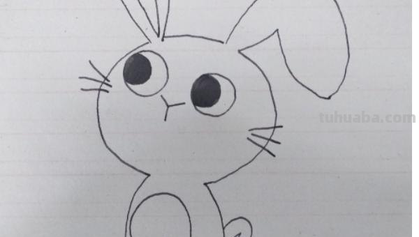 小白兔怎么画简笔画图片（小白兔怎么画简笔画图片大全大图）