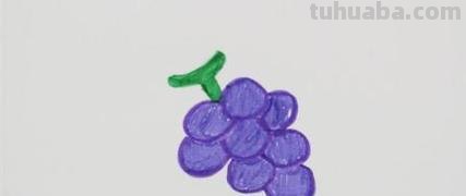 新手画彩铅葡萄怎么画（）