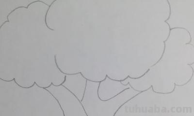 彩铅画水果大树怎么画(彩铅画水果大树怎么画好看) 彩铅画水果大树怎么画(彩铅画水果大树怎么画好看)