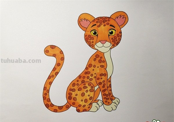猎豹怎么画简笔画（猎豹怎么画简笔画图片）
