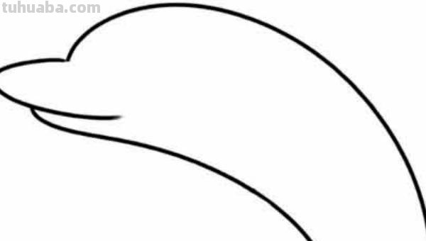 猎豹怎么画简笔画（猎豹怎么画简笔画图片）