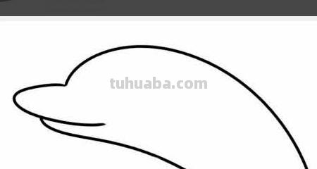 猎豹怎么画简笔画（猎豹怎么画简笔画图片）