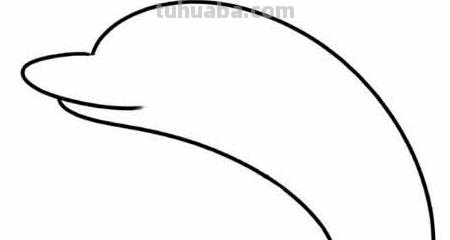 猎豹怎么画简笔画（猎豹怎么画简笔画图片）