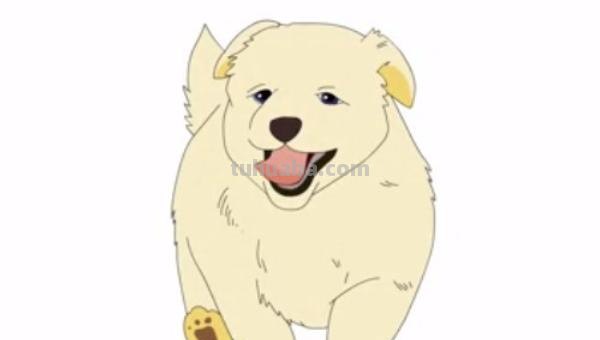 小狗怎么画彩铅画教程(小狗怎么画彩铅画教程视频) 小狗怎么画彩铅画教程(小狗怎么画彩铅画教程视频)