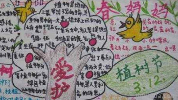 植树节的手抄报怎么画（植树节的手抄报怎么画最简单）