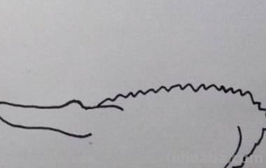 鳄鱼怎么画简笔画（鳄鱼怎么画简笔画图片）