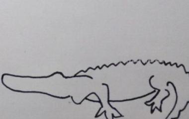 鳄鱼怎么画简笔画（鳄鱼怎么画简笔画图片）