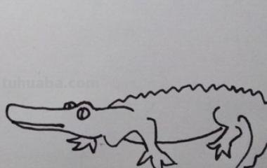 鳄鱼怎么画简笔画（鳄鱼怎么画简笔画图片）