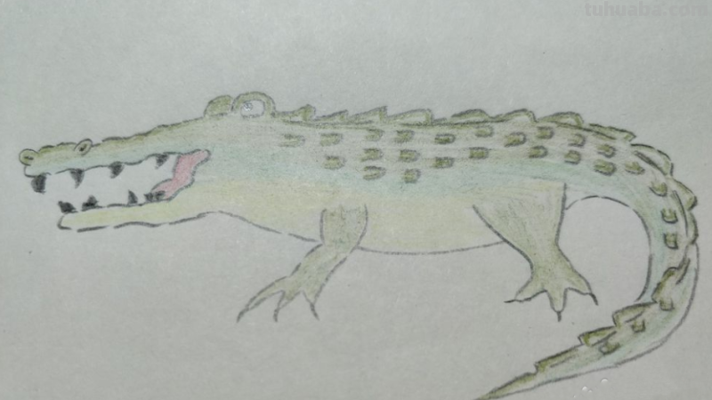 鳄鱼怎么画简笔画（鳄鱼怎么画简笔画图片）