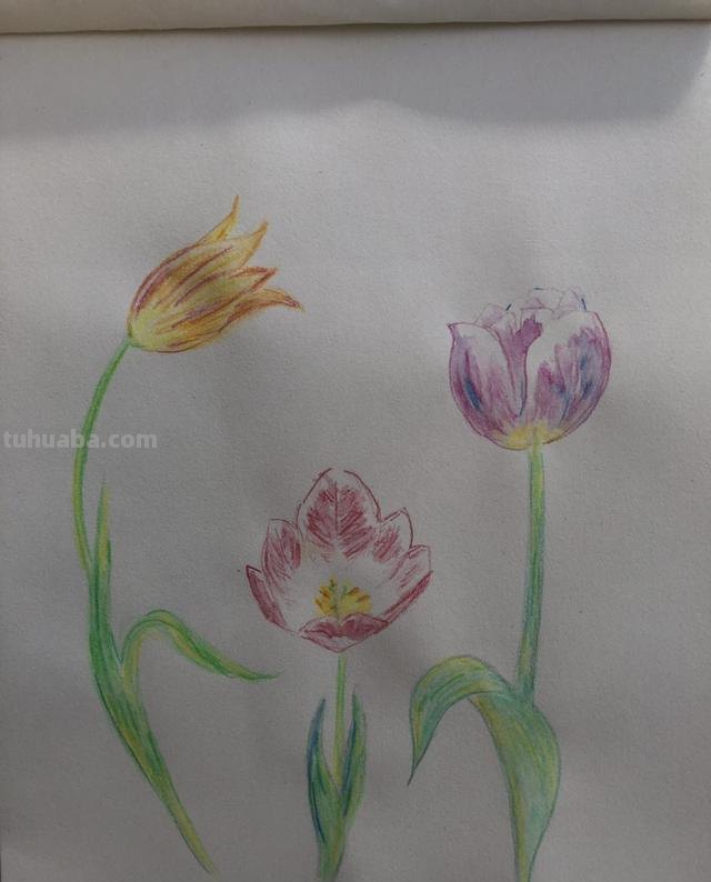 伞怎么画简笔画（太阳伞怎么画简笔画）