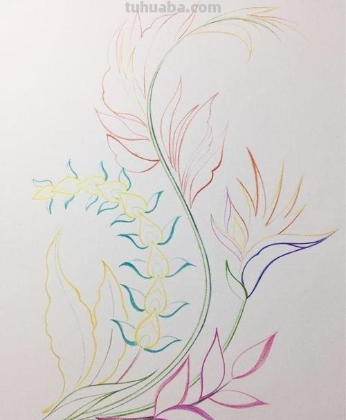 文竹怎么画简单彩铅画(文竹怎么画简单彩铅画图片) 文竹怎么画简单彩铅画(文竹怎么画简单彩铅画图片)
