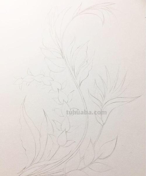 文竹怎么画简单彩铅画(文竹怎么画简单彩铅画图片) 文竹怎么画简单彩铅画(文竹怎么画简单彩铅画图片)