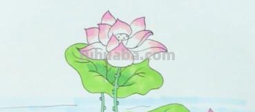 画用彩铅画荷花怎么画(画用彩铅画荷花怎么画好看) 画用彩铅画荷花怎么画(画用彩铅画荷花怎么画好看)
