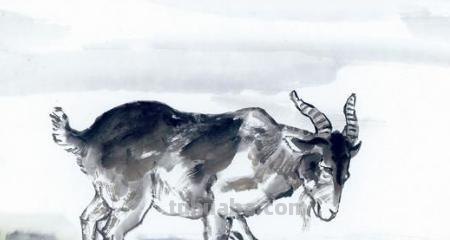 羚羊怎么画简笔画（羚羊怎么画简笔画图片）