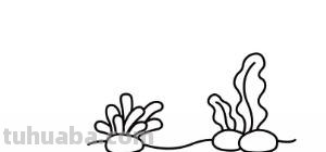 珊瑚怎么画简笔画（珊瑚怎么画简笔画图片）