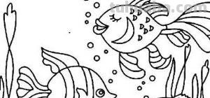 珊瑚怎么画简笔画（珊瑚怎么画简笔画图片）