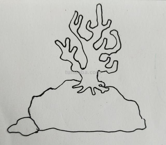 珊瑚怎么画简笔画（珊瑚怎么画简笔画图片）