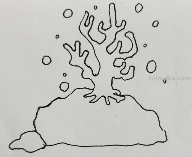 珊瑚怎么画简笔画（珊瑚怎么画简笔画图片）
