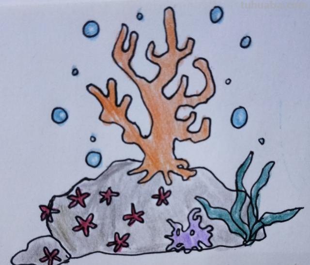 珊瑚怎么画简笔画（珊瑚怎么画简笔画图片）