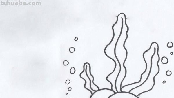 珊瑚怎么画简笔画（珊瑚怎么画简笔画图片）