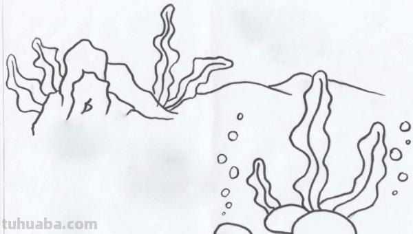 珊瑚怎么画简笔画（珊瑚怎么画简笔画图片）