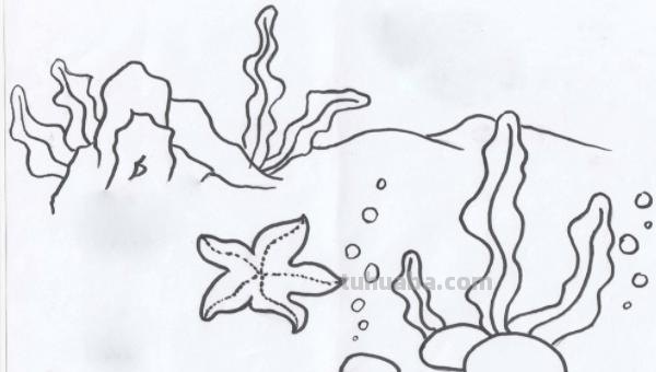 珊瑚怎么画简笔画（珊瑚怎么画简笔画图片）