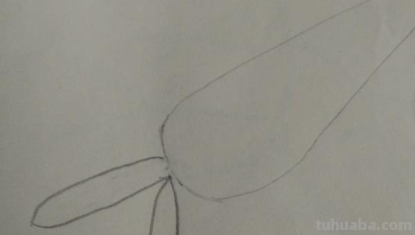 怎么画萝卜的简笔画（怎么画萝卜的简笔画图片）